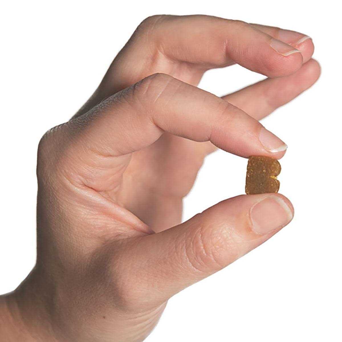 Alternative view of Bixbi Pocket Trainers Dog Treats