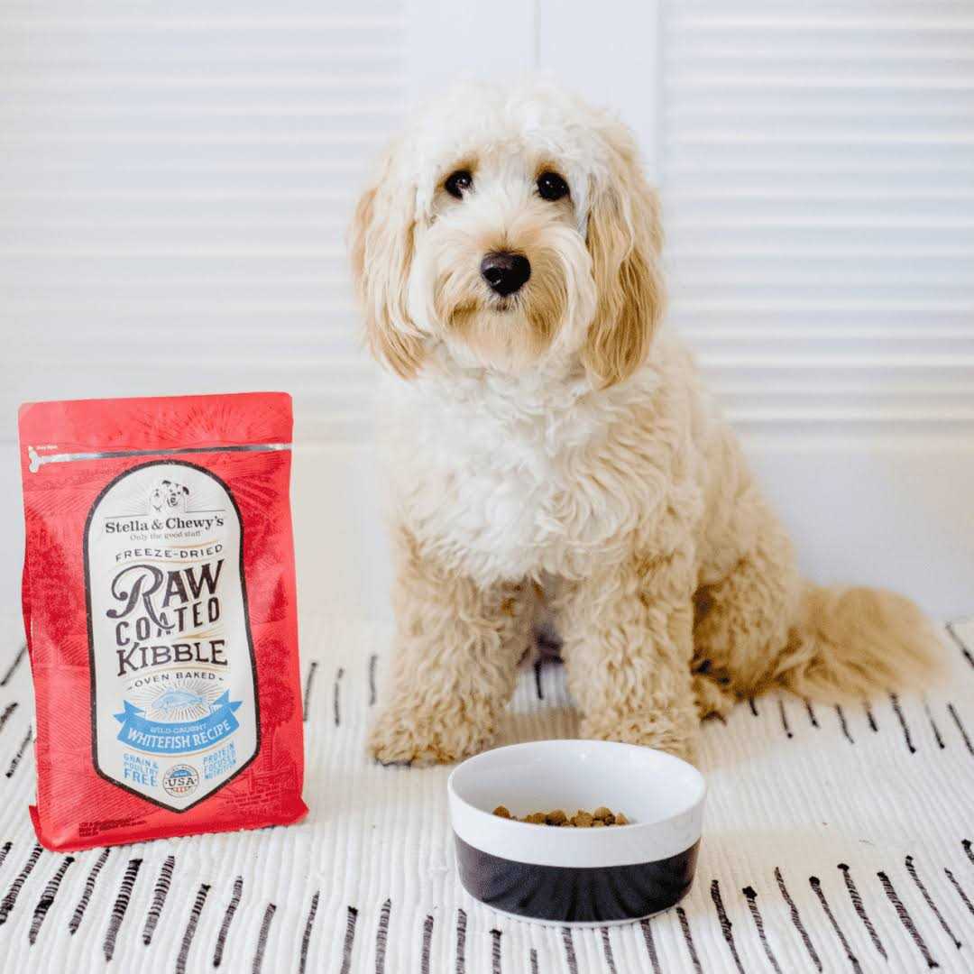 Alternative view of Stella & Chewy's Raw Coated Dog Kibble Wild Caught Whitefish