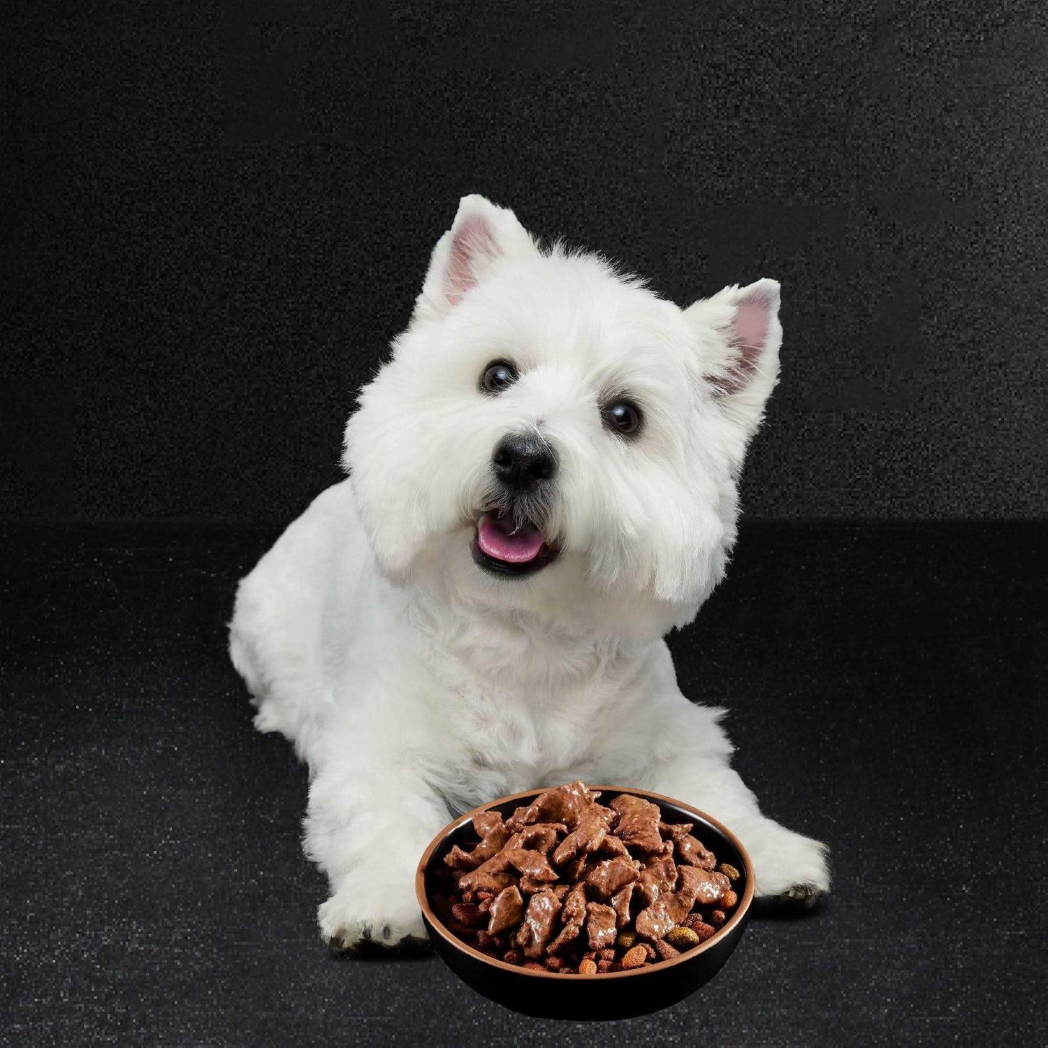 Alternative view of Cesar Filets in Gravy Wet Dog Food Variety Pack
