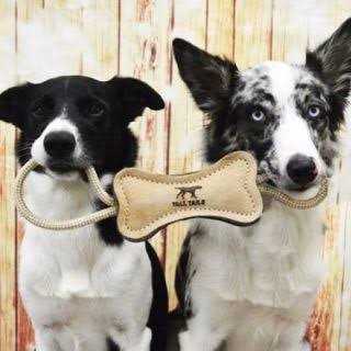 Alternative view of Tall Tails Natural Leather Ring Dog Toy