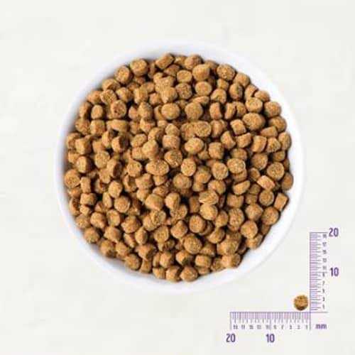 Alternative view of Wellness CORE Natural Grain Free Small Breed Dry Puppy Food