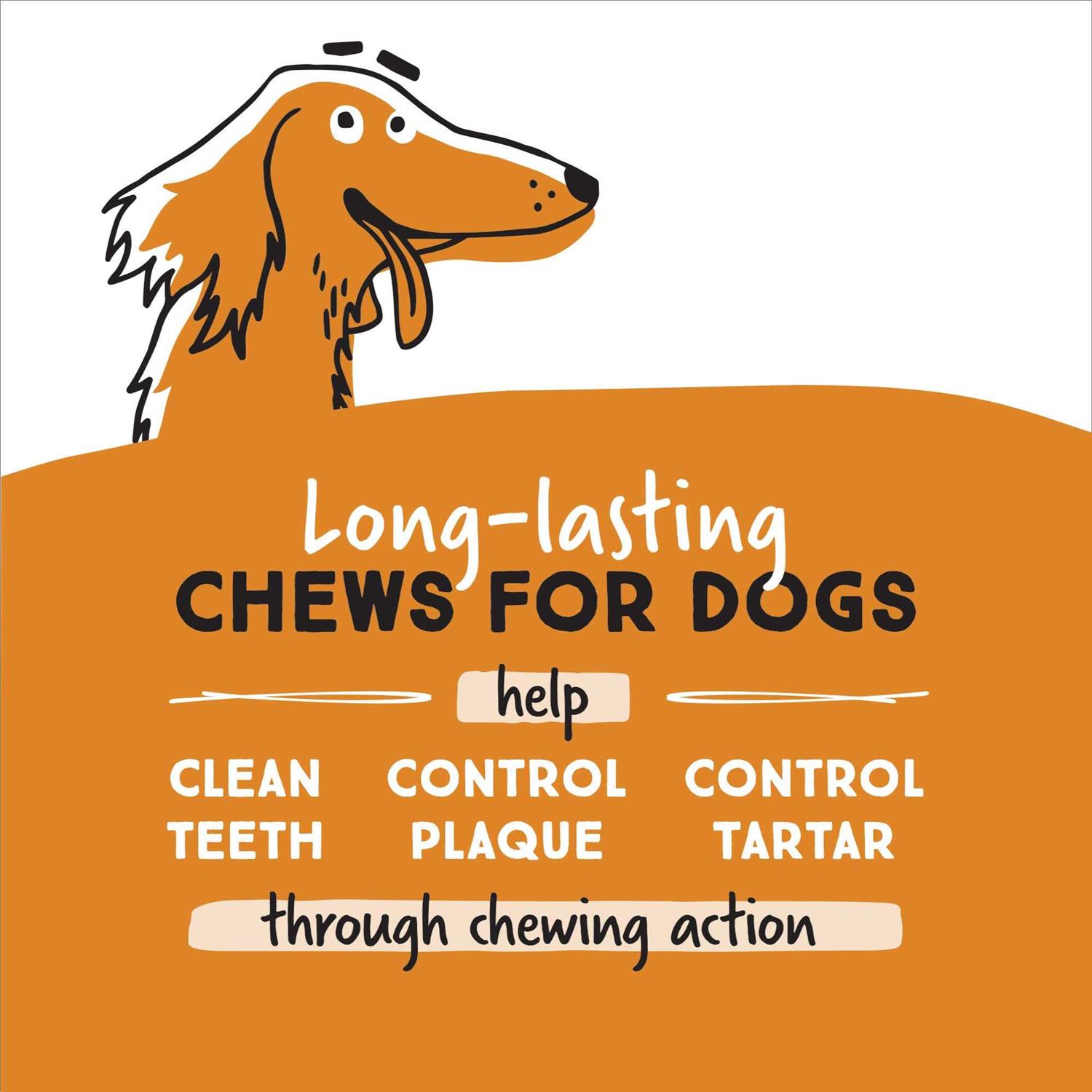 Alternative view of Ultra Chewy Naturals Dog Treats Bone Made in USA Highly Digestible Irresistible Flavors Special Box with Individual Packages