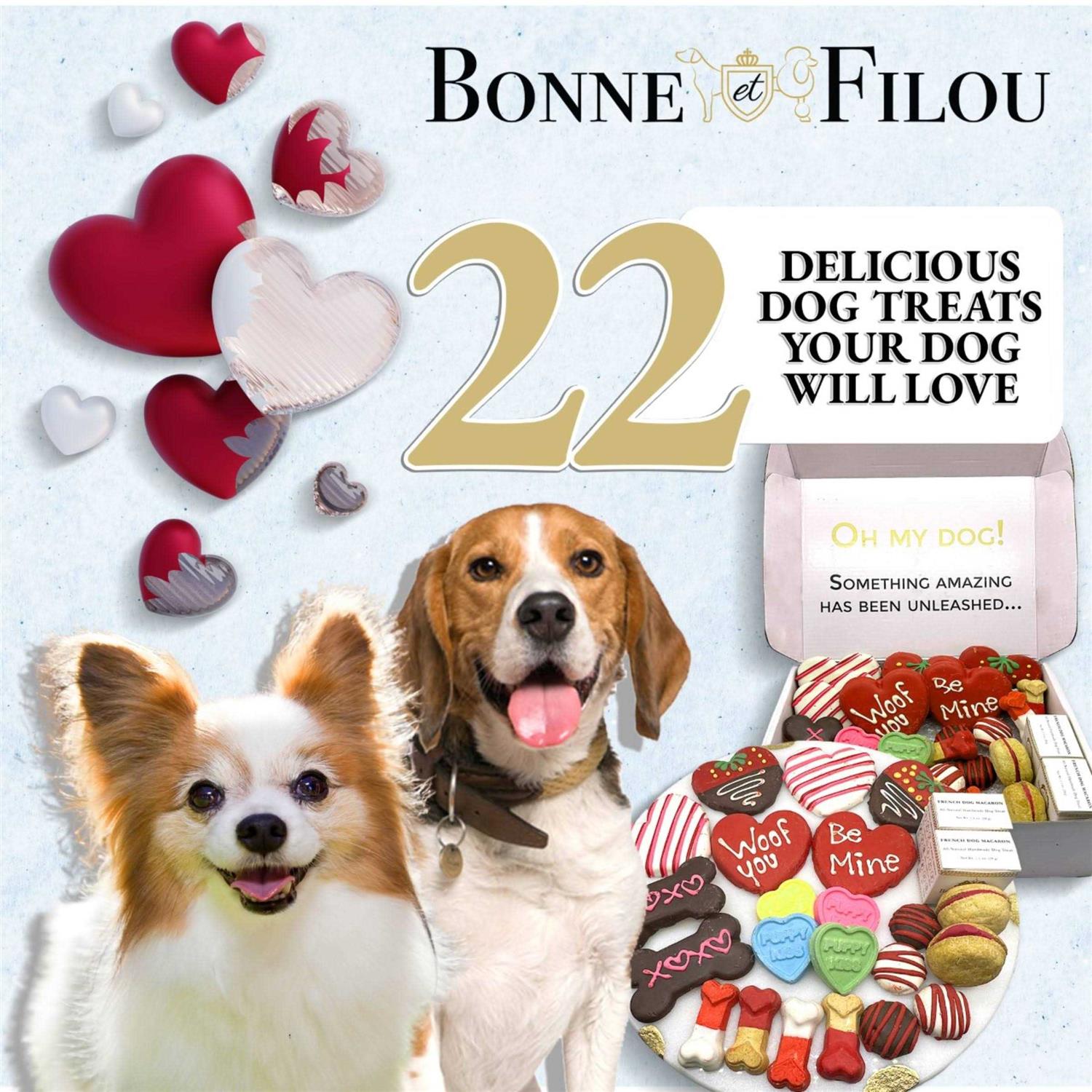 Alternative view of Bonne et Filou I Love My Dog Treats Box