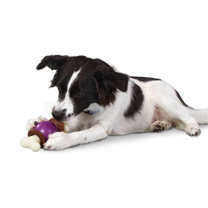 Alternative view of Busy Buddy Bouncy Bone