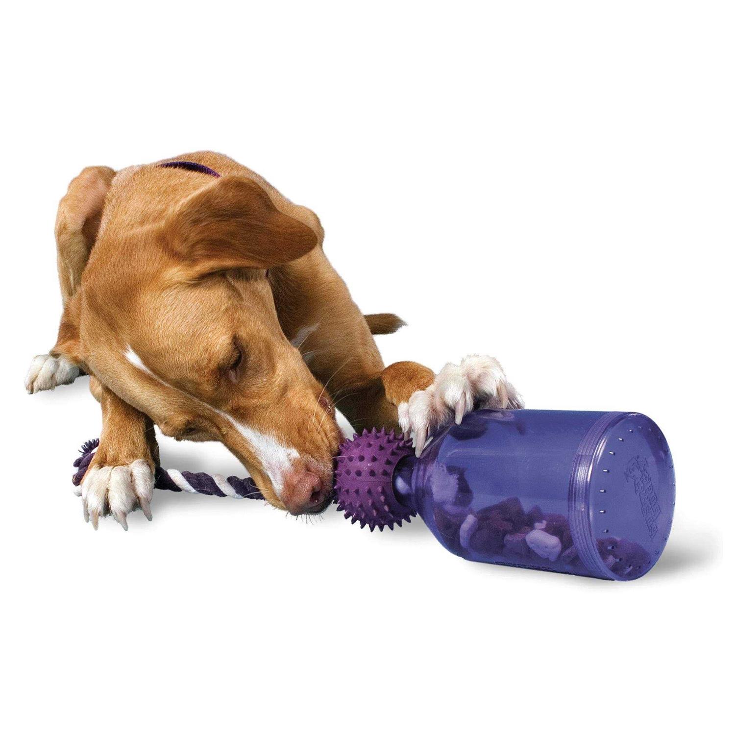 Busy Buddy Tug A Jug