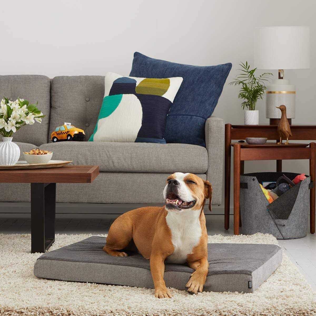Alternative view of Barkbox Memory Foam Platform Dog Bed Plush Mattress for Orthopedic Joint Relief