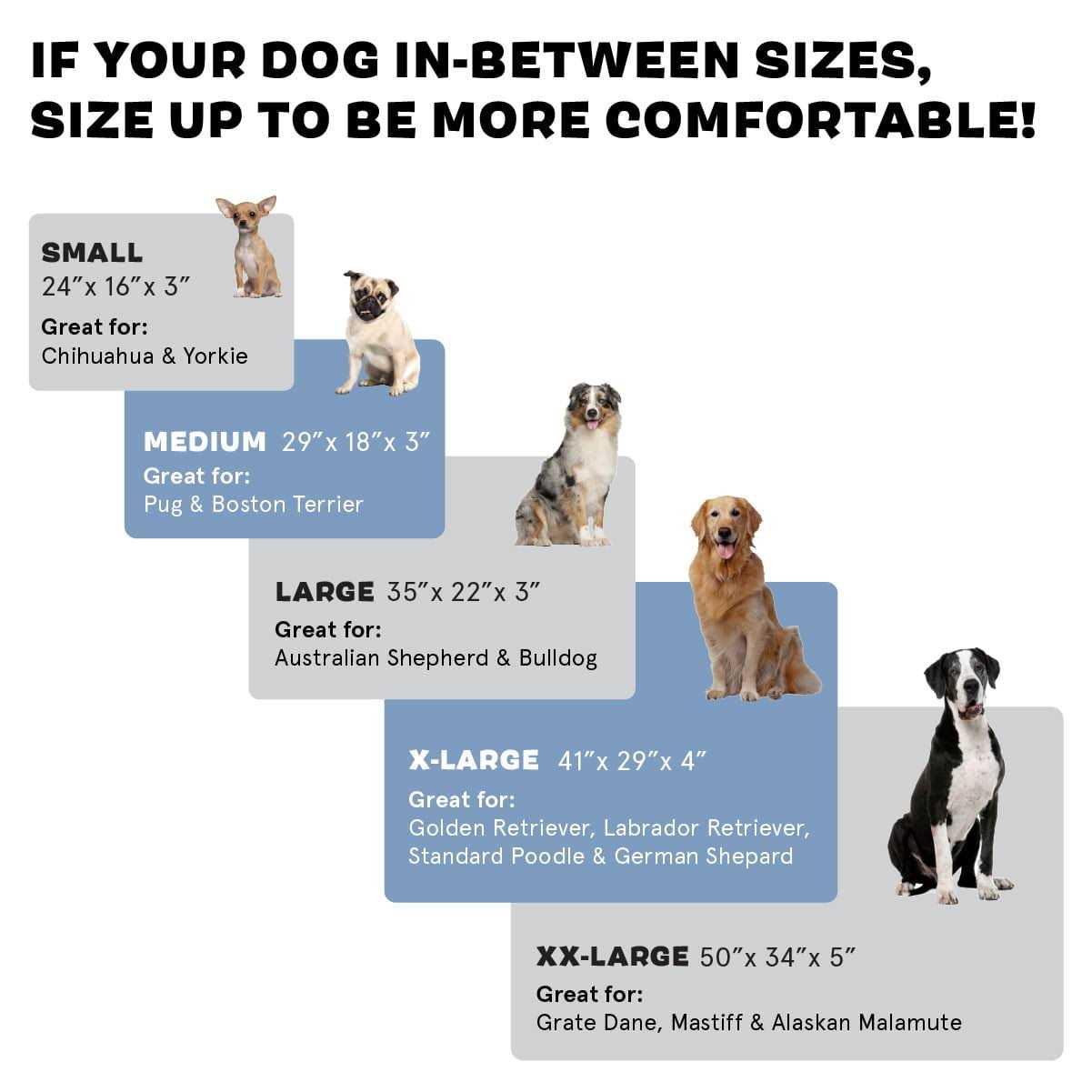 Alternative view of Barkbox Memory Foam Platform Dog Bed Plush Mattress for Orthopedic Joint Relief