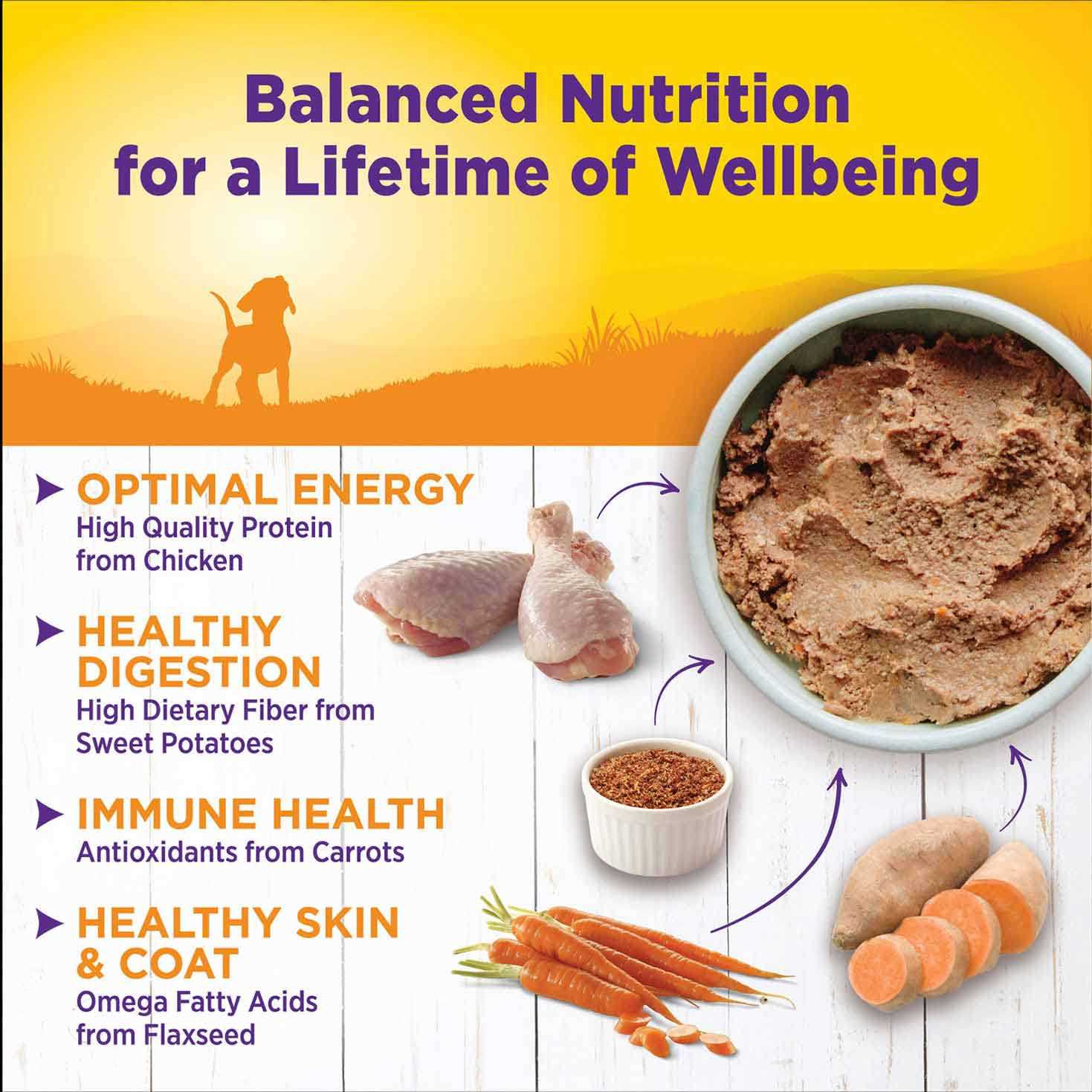 Alternative view of Wellness Just For Puppy Food