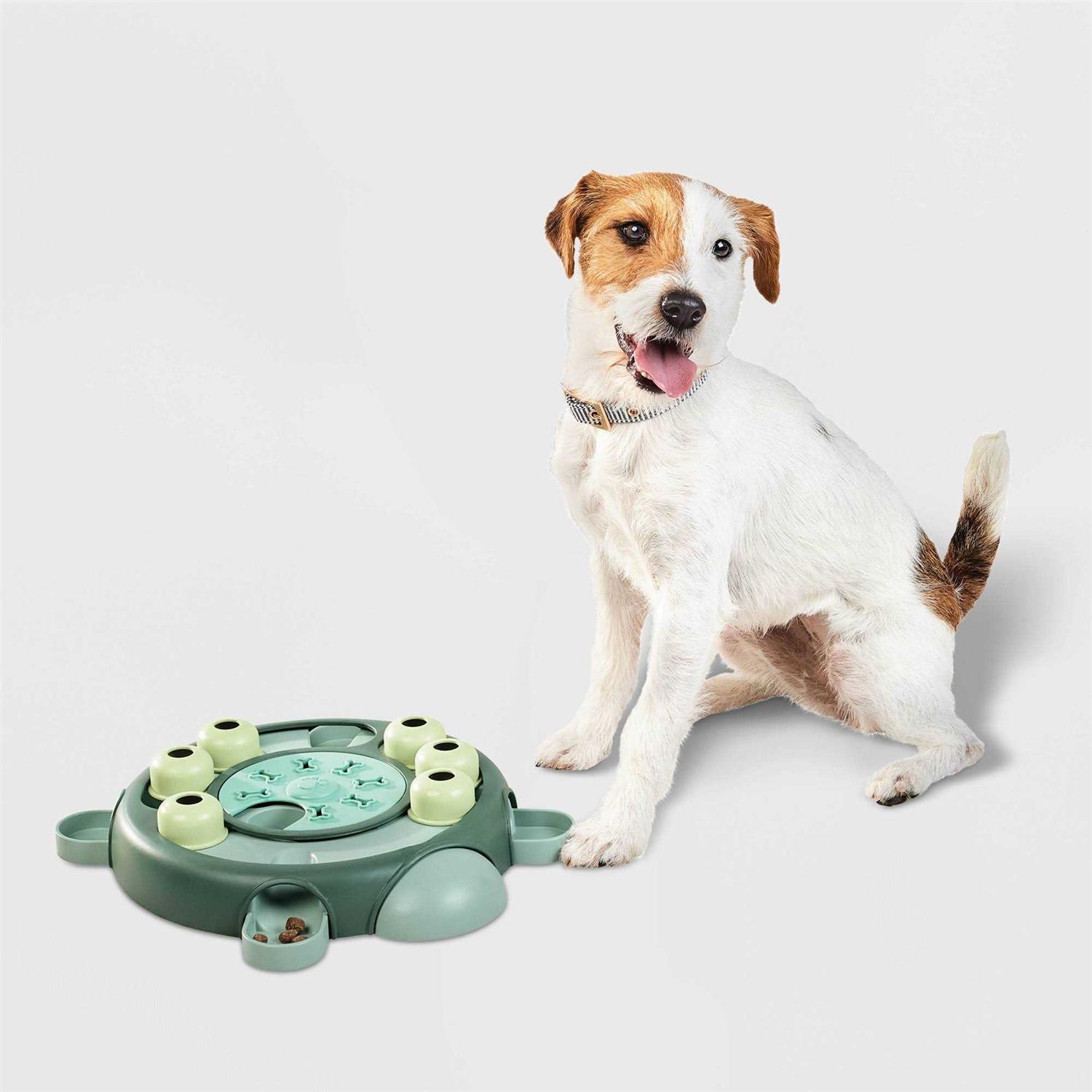 Boots & Barkley Turtle Puzzle Dog Toy