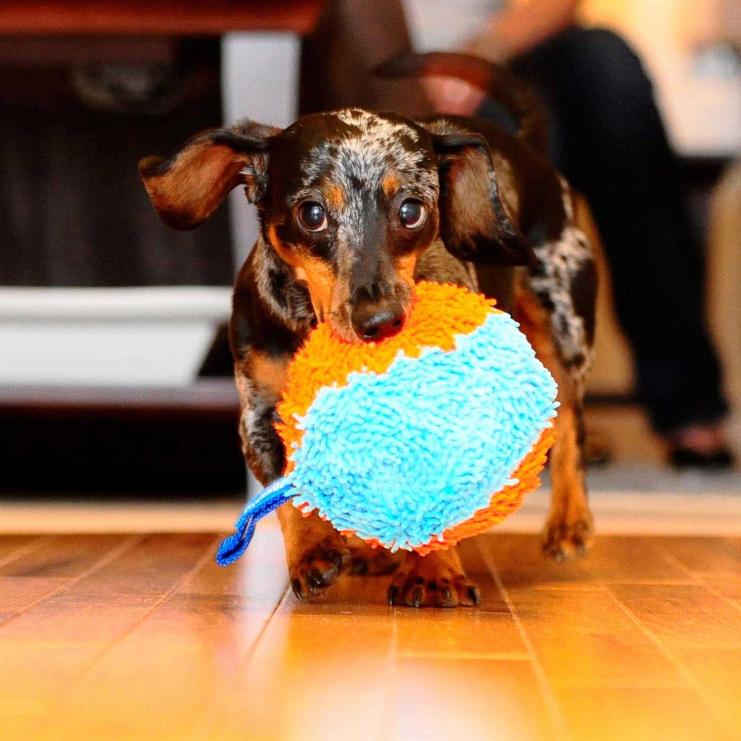 Alternative view of Chuckit! Indoor Shaker Dog Toy