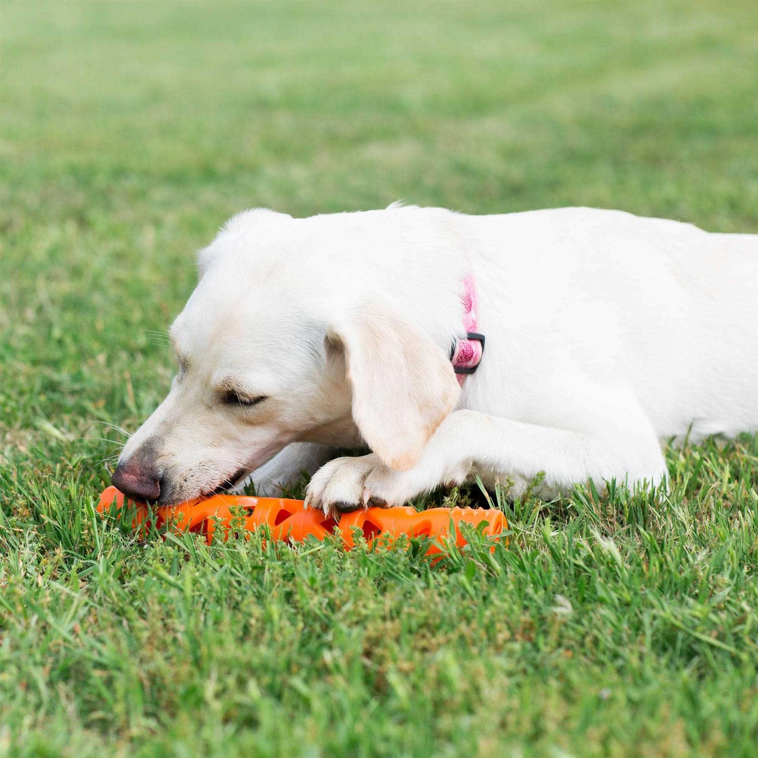 Alternative view of Chuckit! Air Fetch Stick Dog Toy
