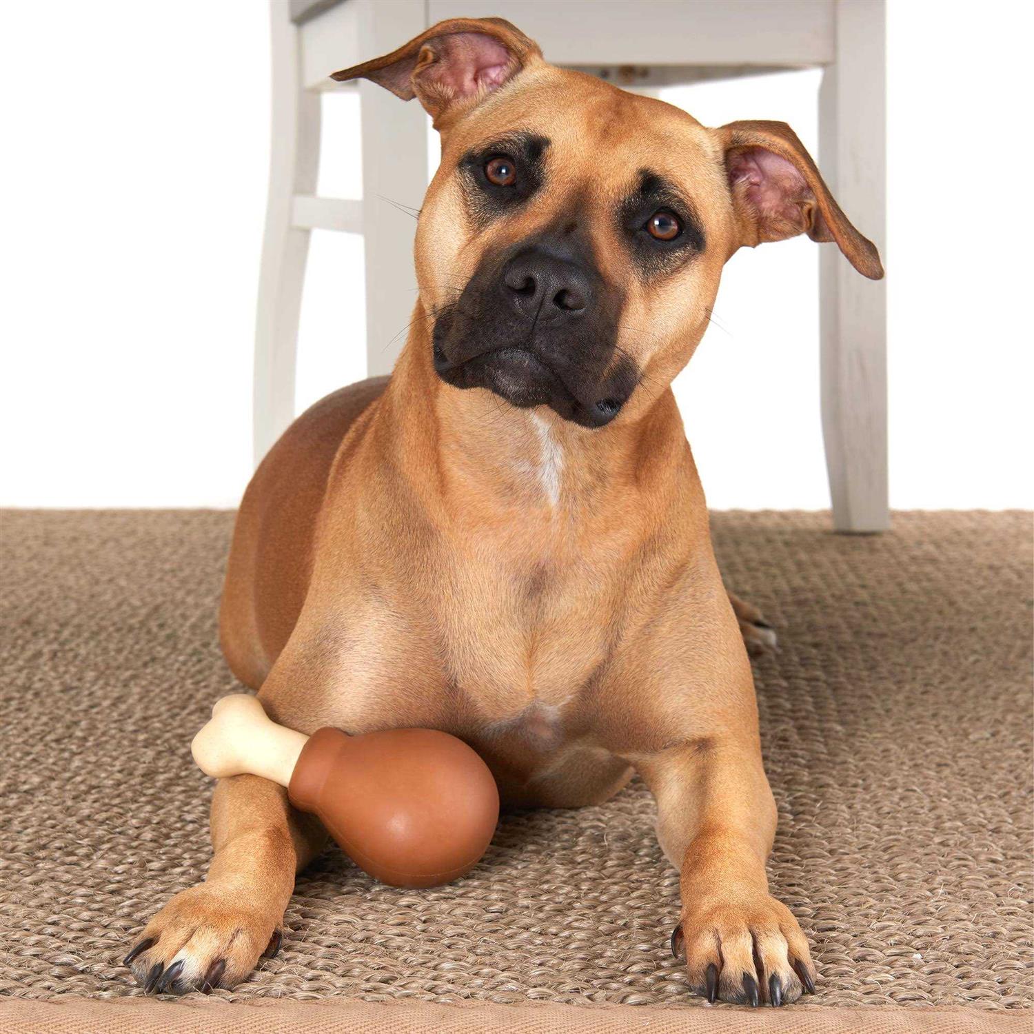 Alternative view of Bark Super Chewer Drumstick Dog Toy