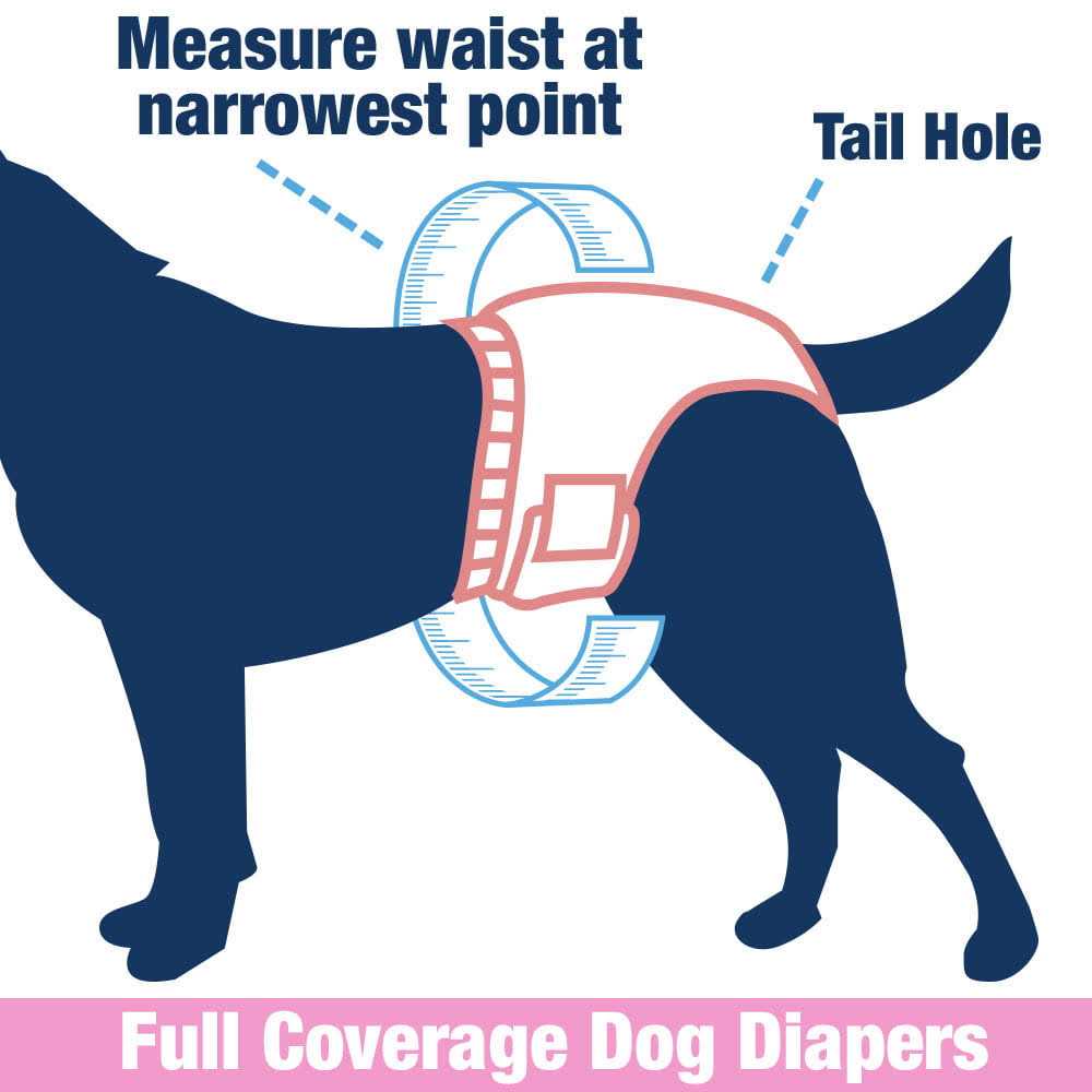 Alternative view of ValueFresh Female Dog Disposable Diapers