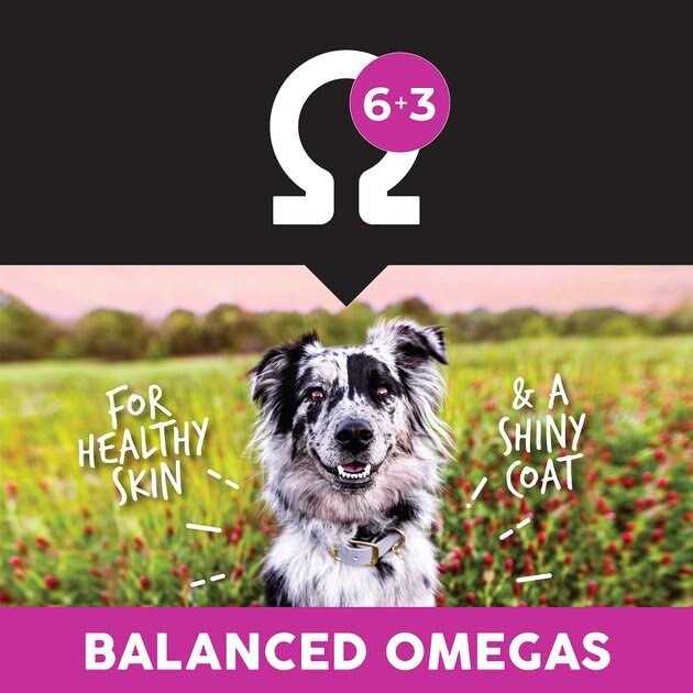 Alternative view of Ultimates Lamb Meal & Rice Dry Dog Food