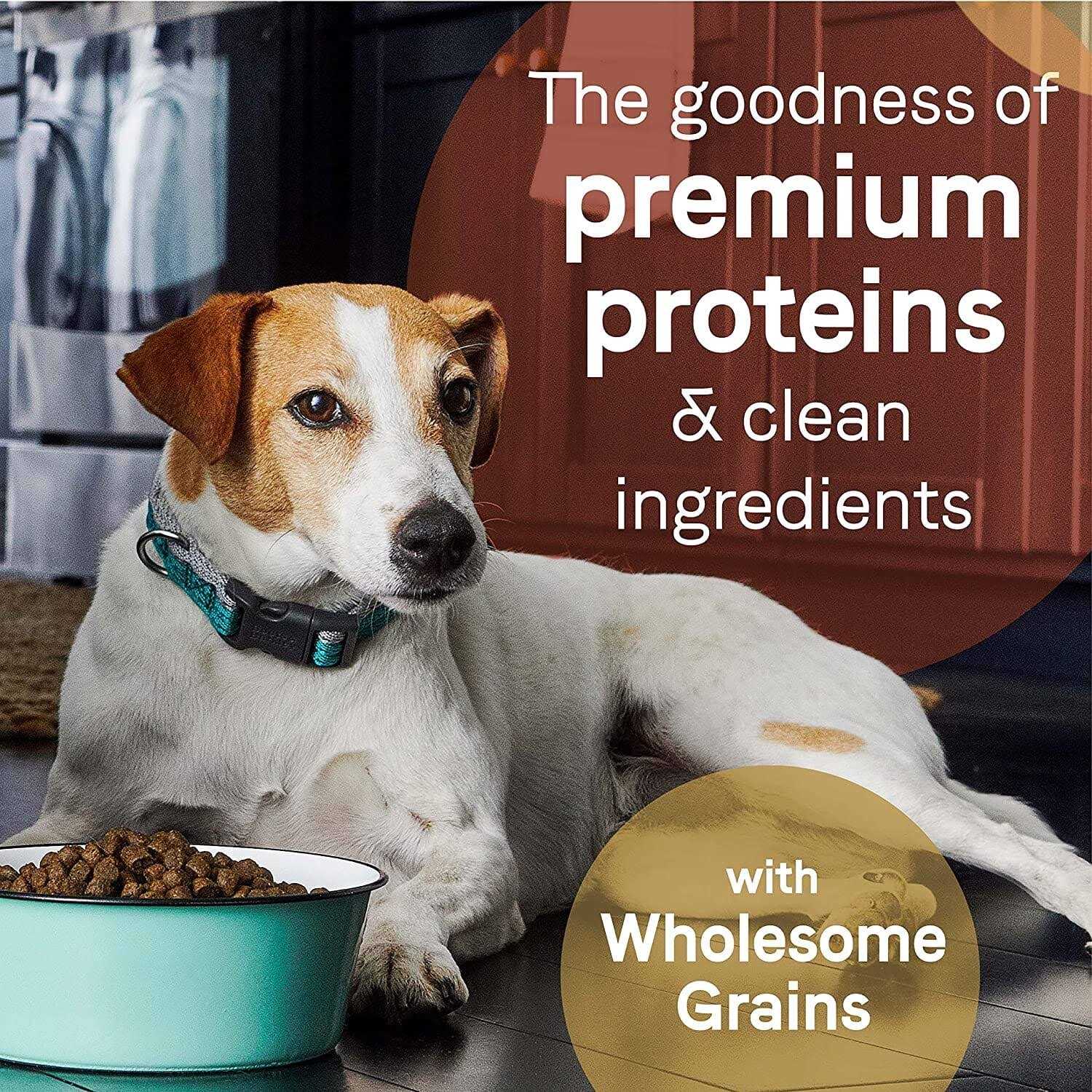 Canidae Pure Real Beef & Barley Recipe Dry Dog Food