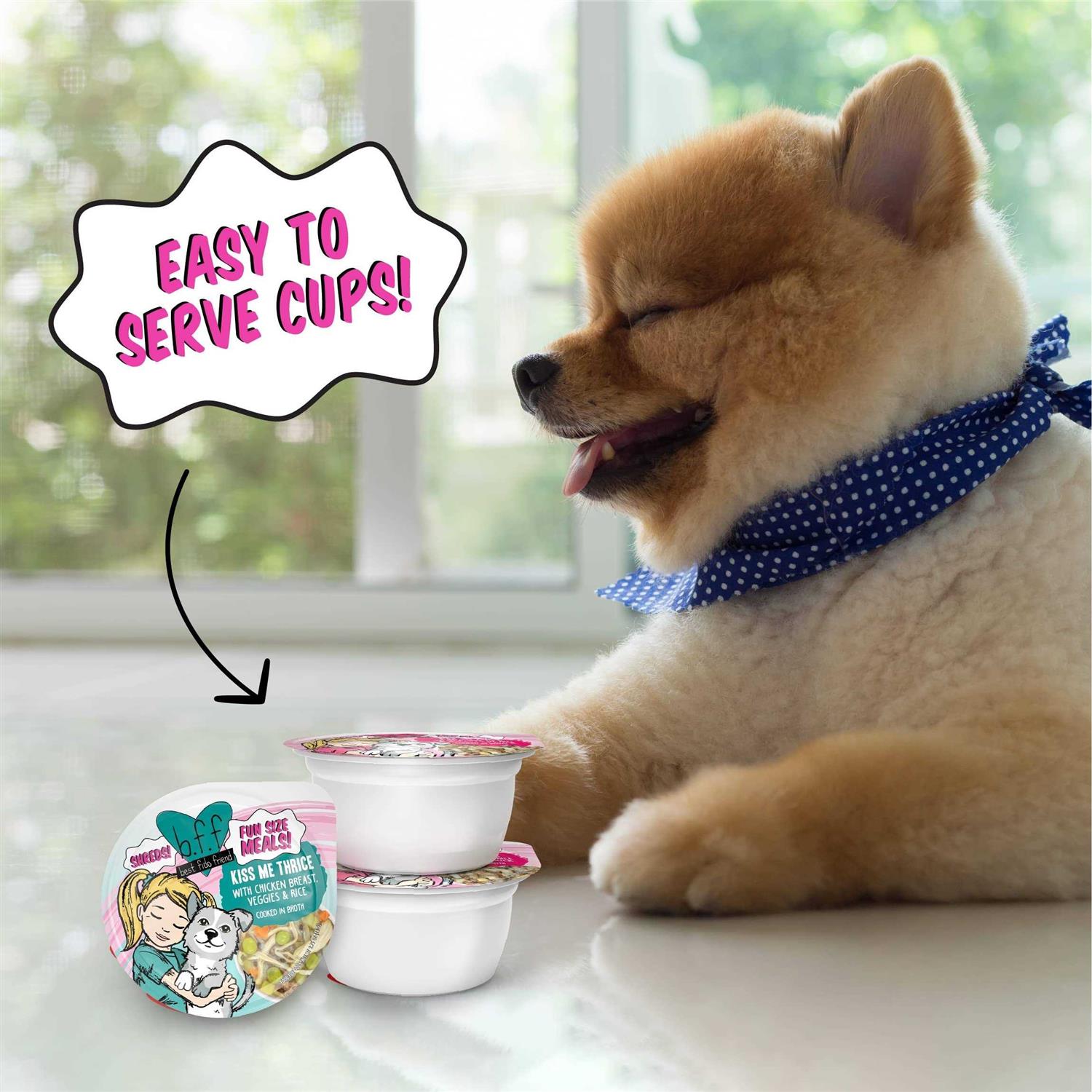 Alternative view of Weruva BFF Fun Size Meals Fun Size Sampler Variety Pack Wet Dog Food