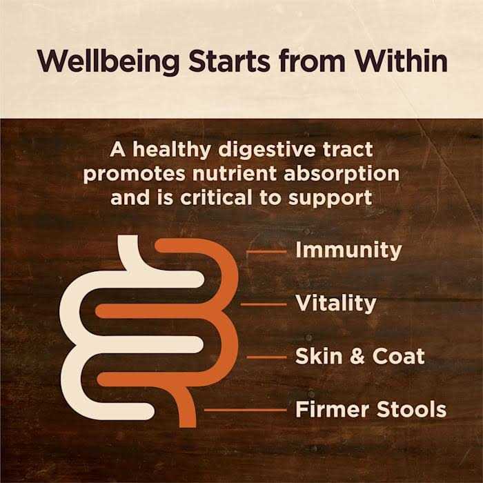 Alternative view of Wellness CORE Digestive Health Chicken & Beef Pate Variety Pack Grain Free Wet Dog Food