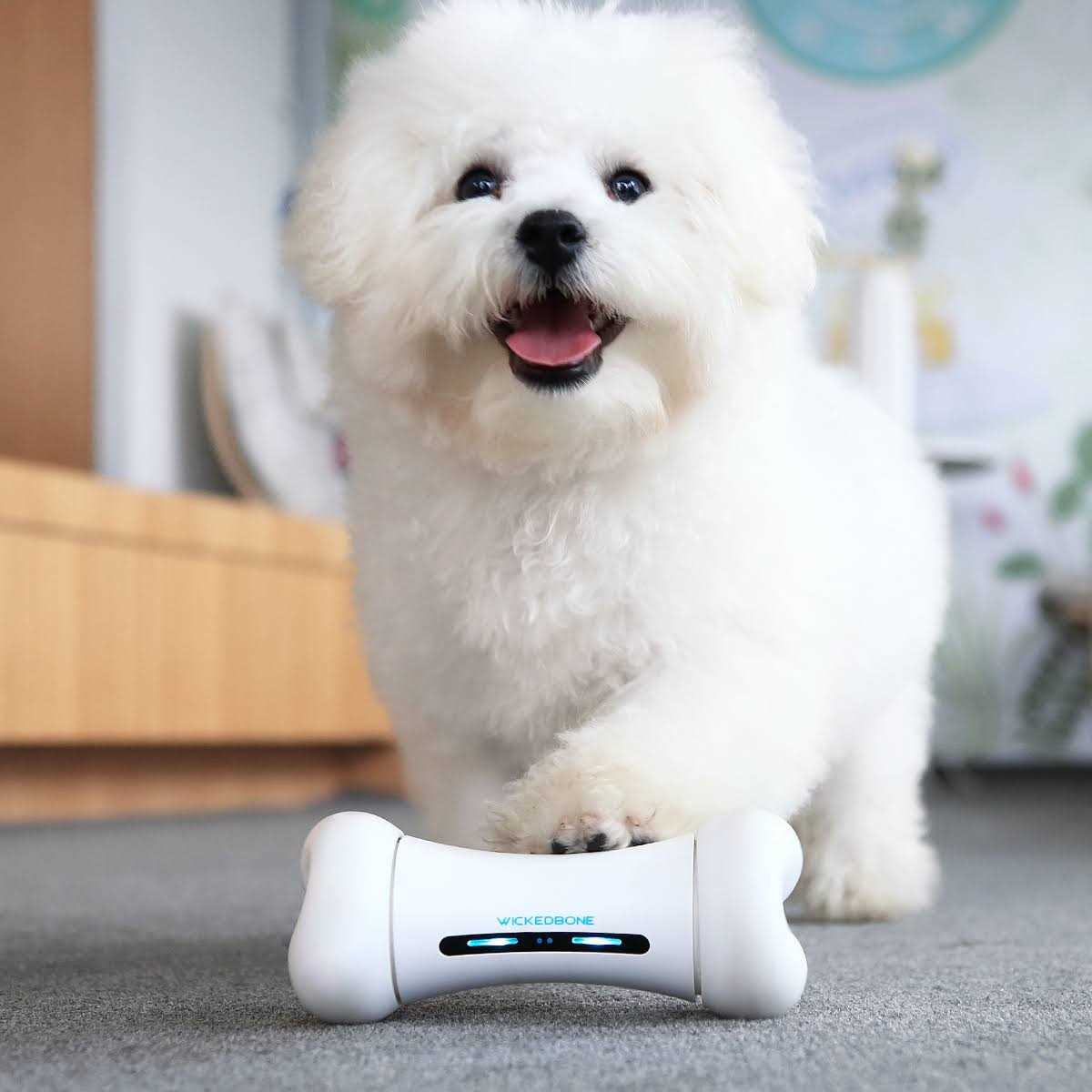 Alternative view of Cheerble Wickedbone 100% Automatic Interactive Toys for Dogs