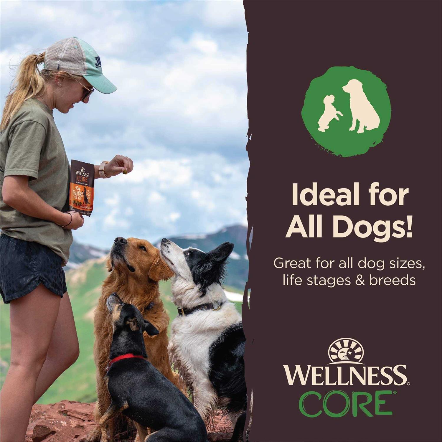 Alternative view of Wellness Core Tiny Trainers Tender Dog Treats