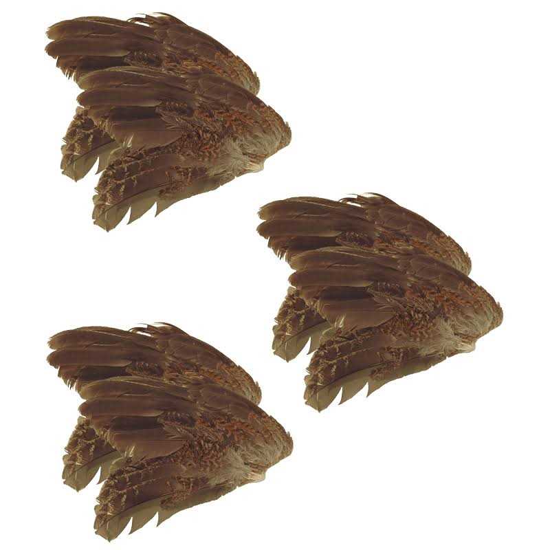 Alternative view of Classic T Designs Quail Wings 6 Pk