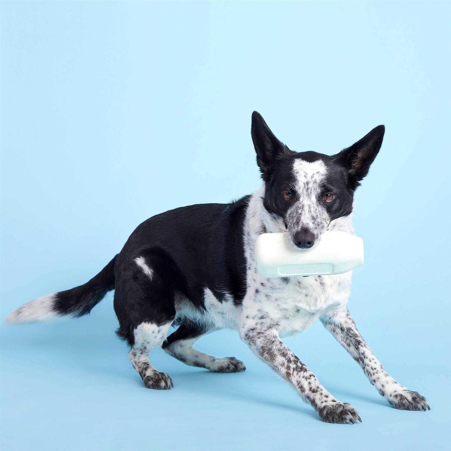 Alternative view of BARK Super Chewer Cow Dog Toy