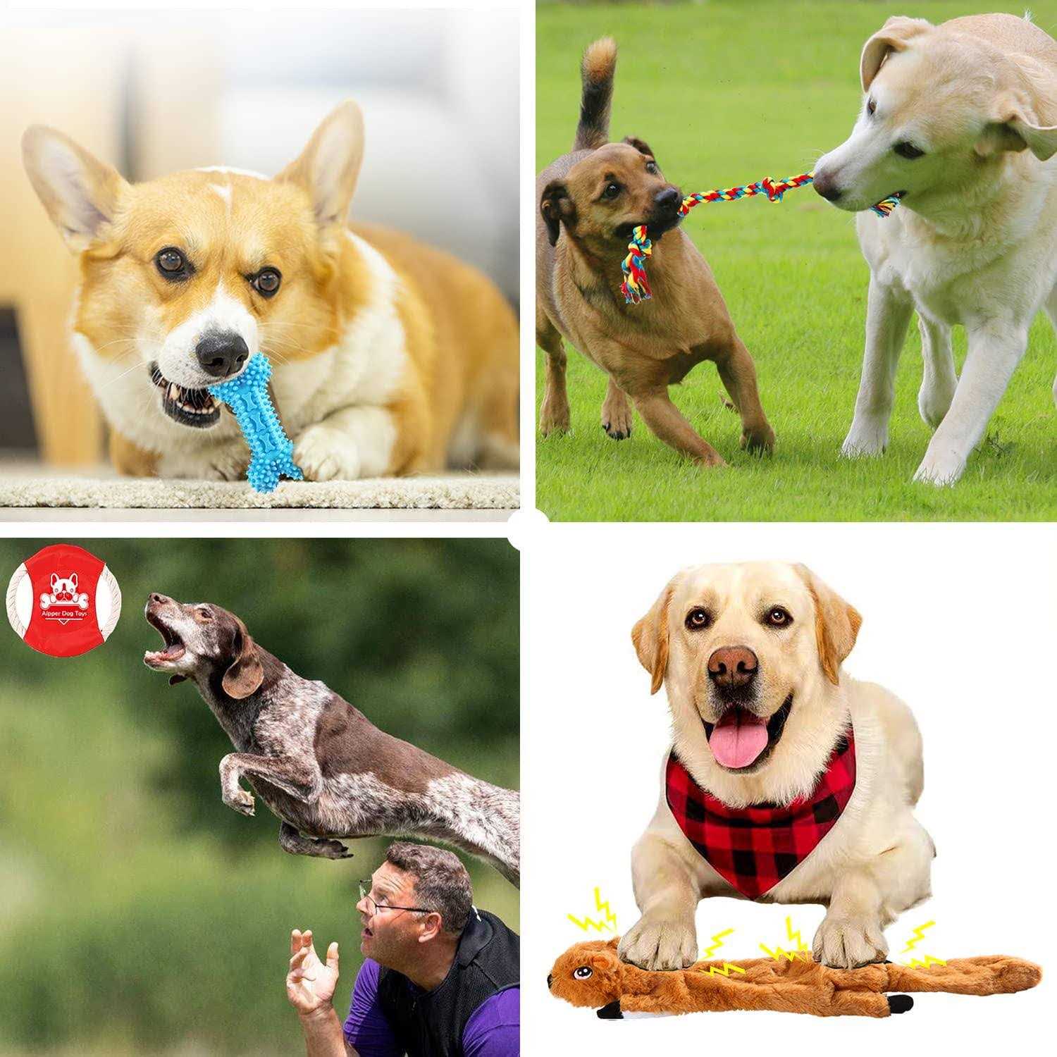 Alternative view of Aipper Dog Puppy Toys 20 Pack, Puppy Chew Toys for Fun and Teeth Cleaning