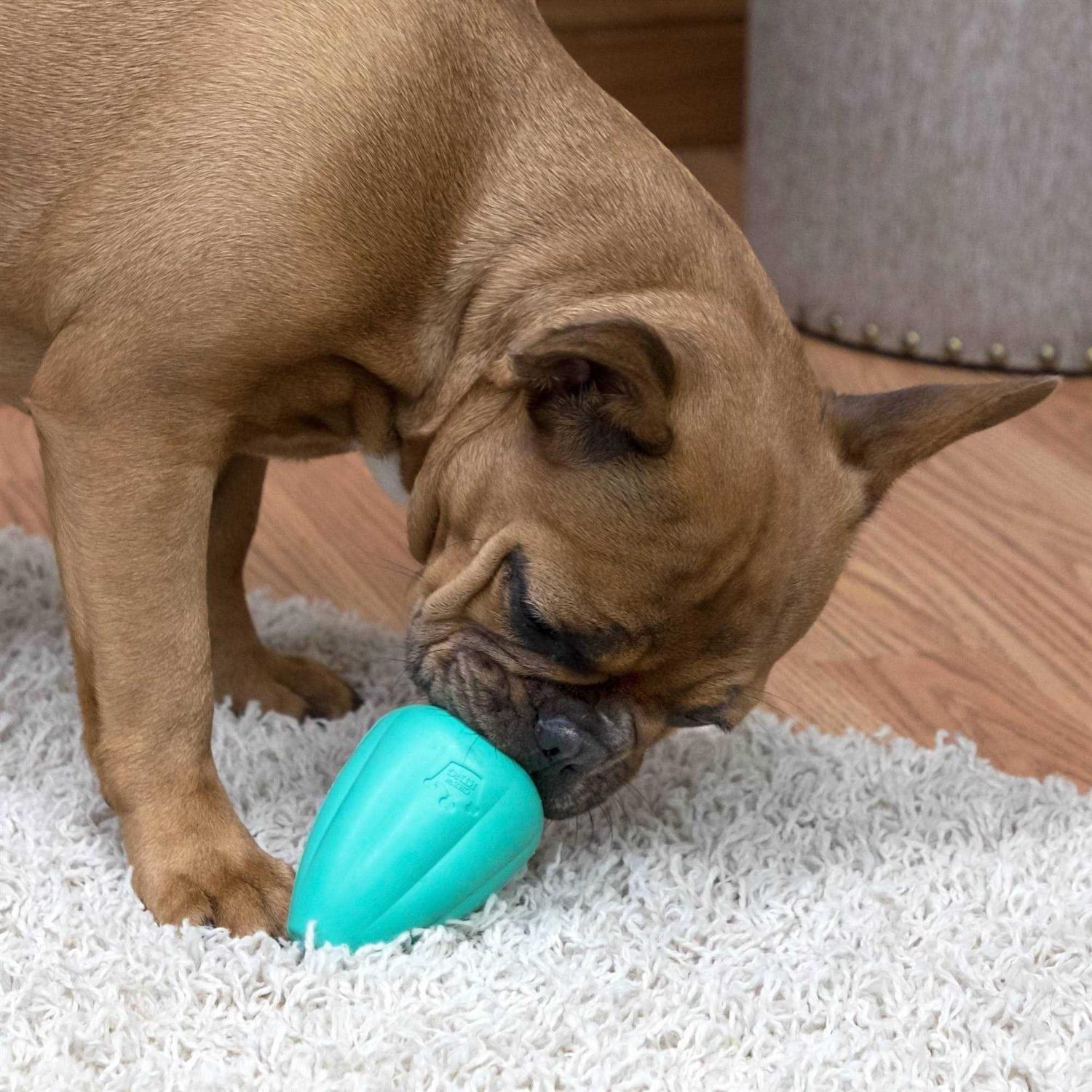 Alternative view of Chew King Premium Treat Dog Toy