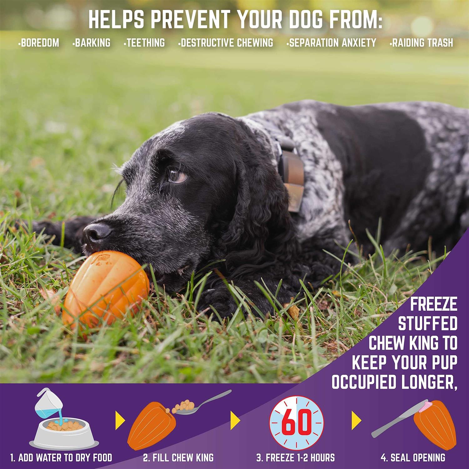 Alternative view of Chew King Premium Treat Dog Toy