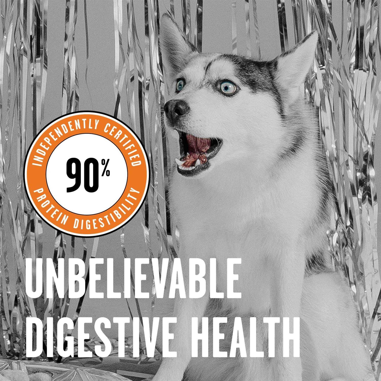 Alternative view of BIXBI Rawbble Chicken Recipe Dry Dog Food