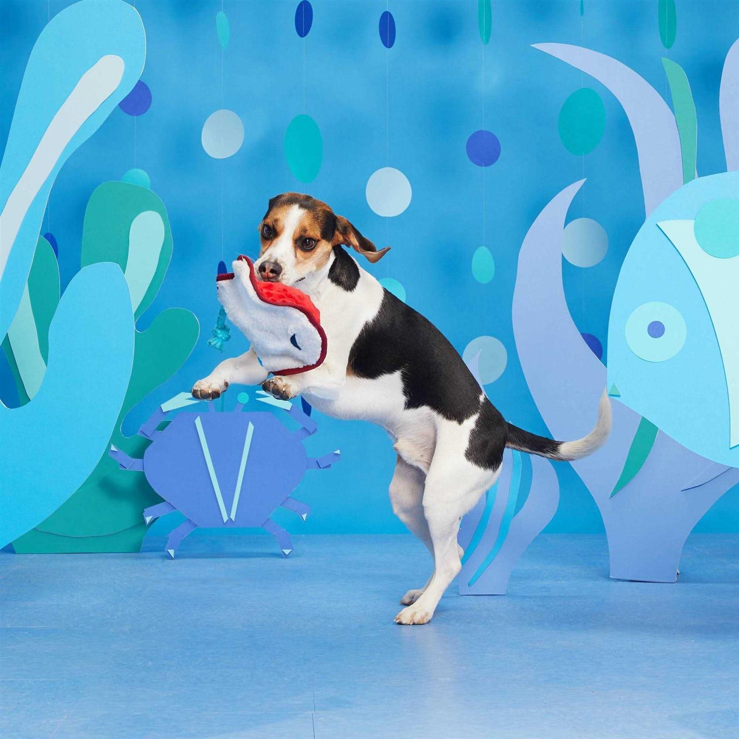 Alternative view of BARK Sting Crosby the Ray Dog Toy