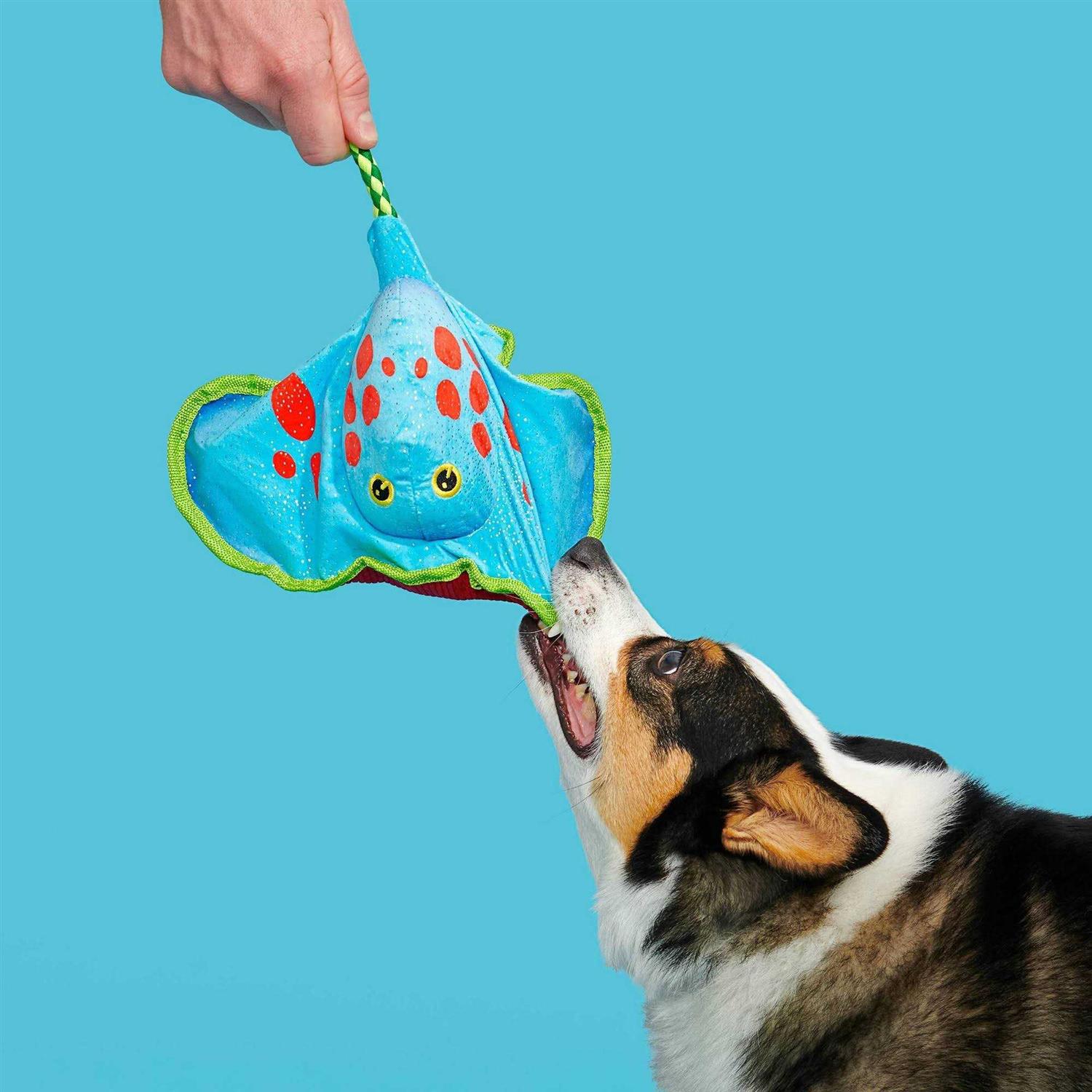 Alternative view of Bark Manny Ray Under the Seams Dog Toy