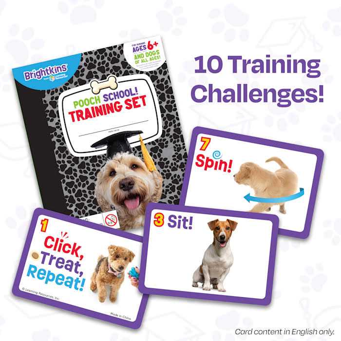 Alternative view of Brightkins Pooch School Training Set