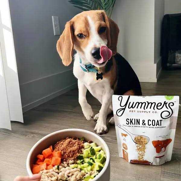 Alternative view of Yummers Skin & Coat Beef Dog Food