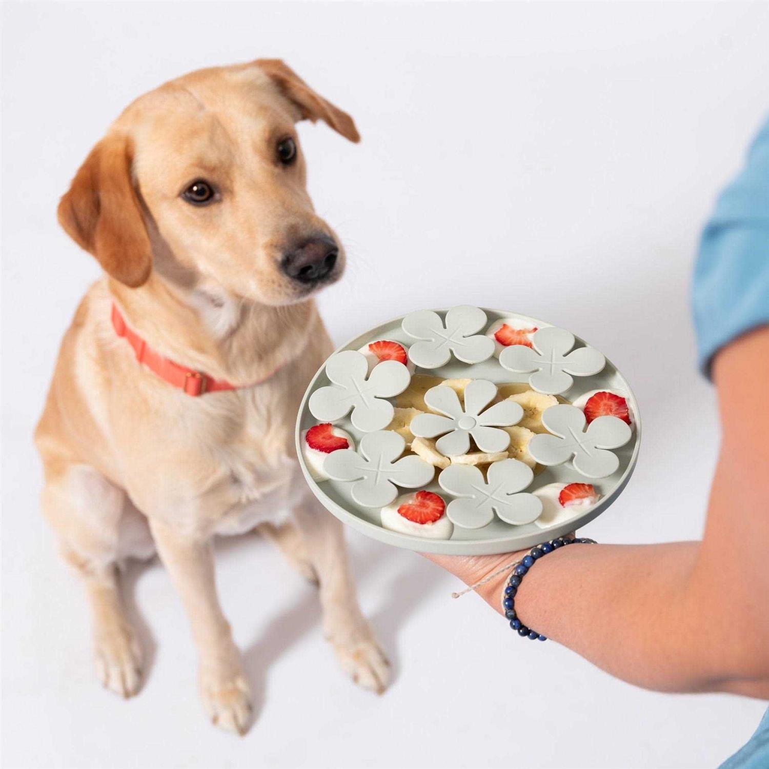 Alternative view of AWOO Silicone Meadow Snuffle and Slow Feeder Treat Dog Toy Dispenser