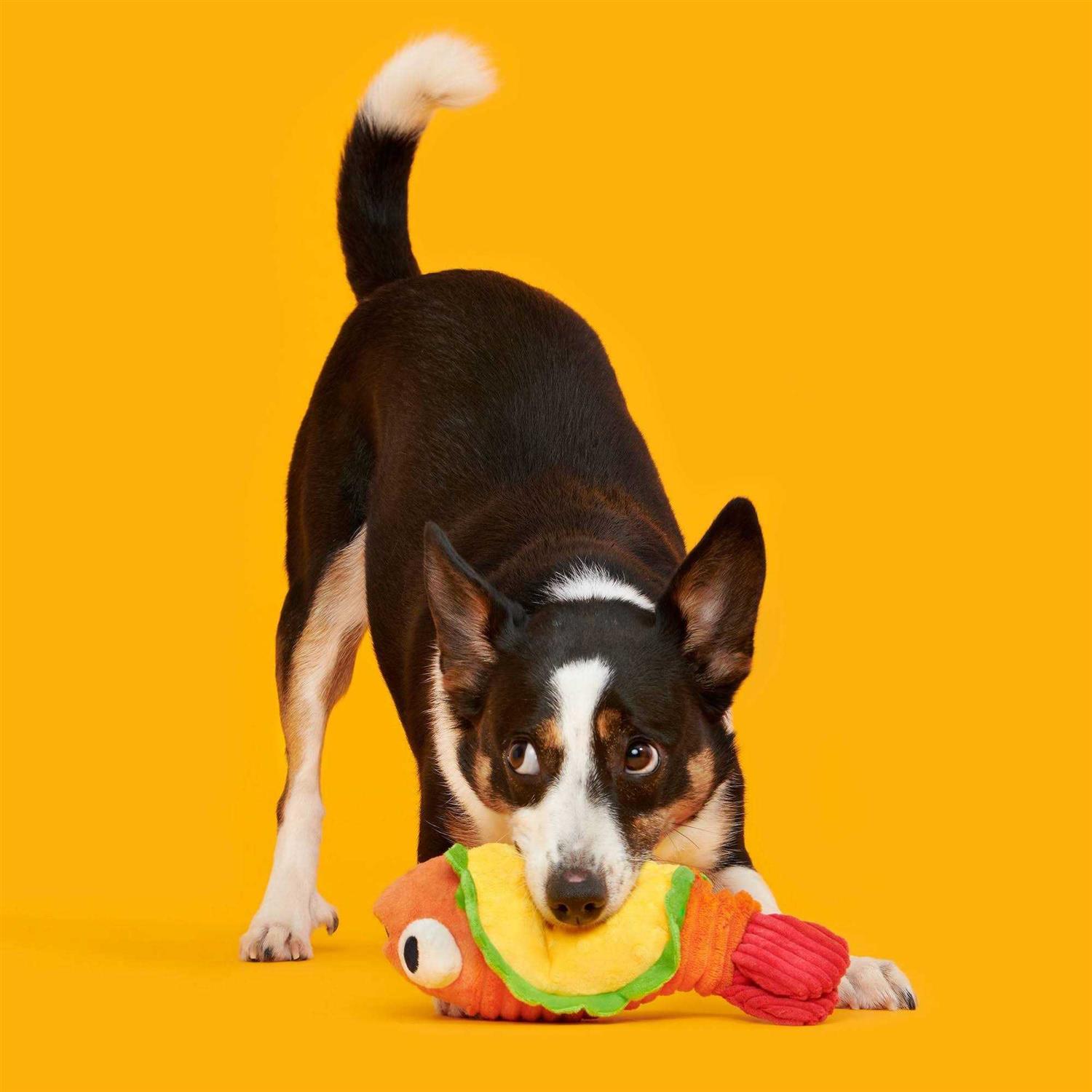 Alternative view of BARK Eduardo The Shrimp Taco Dog Toy