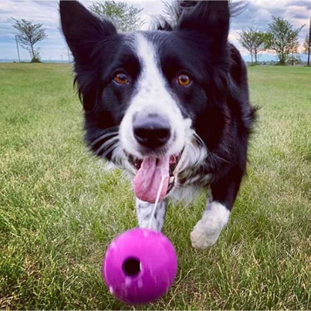 Alternative view of Chew King Fetch Balls Extremely Durable Natural Rubber Toy