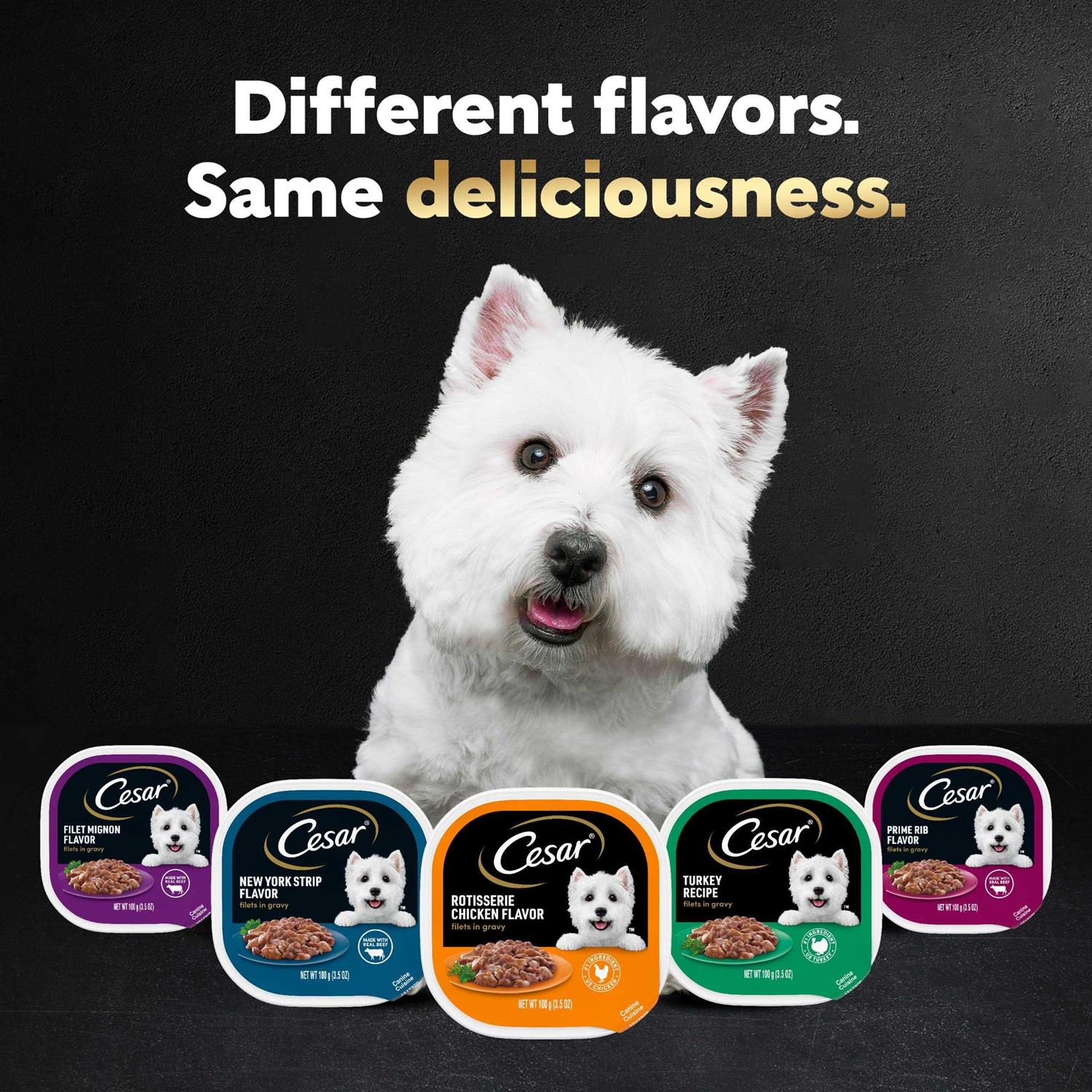 Alternative view of Cesar Filets in Gravy Rotisserie Chicken Flavor Wet Dog Food