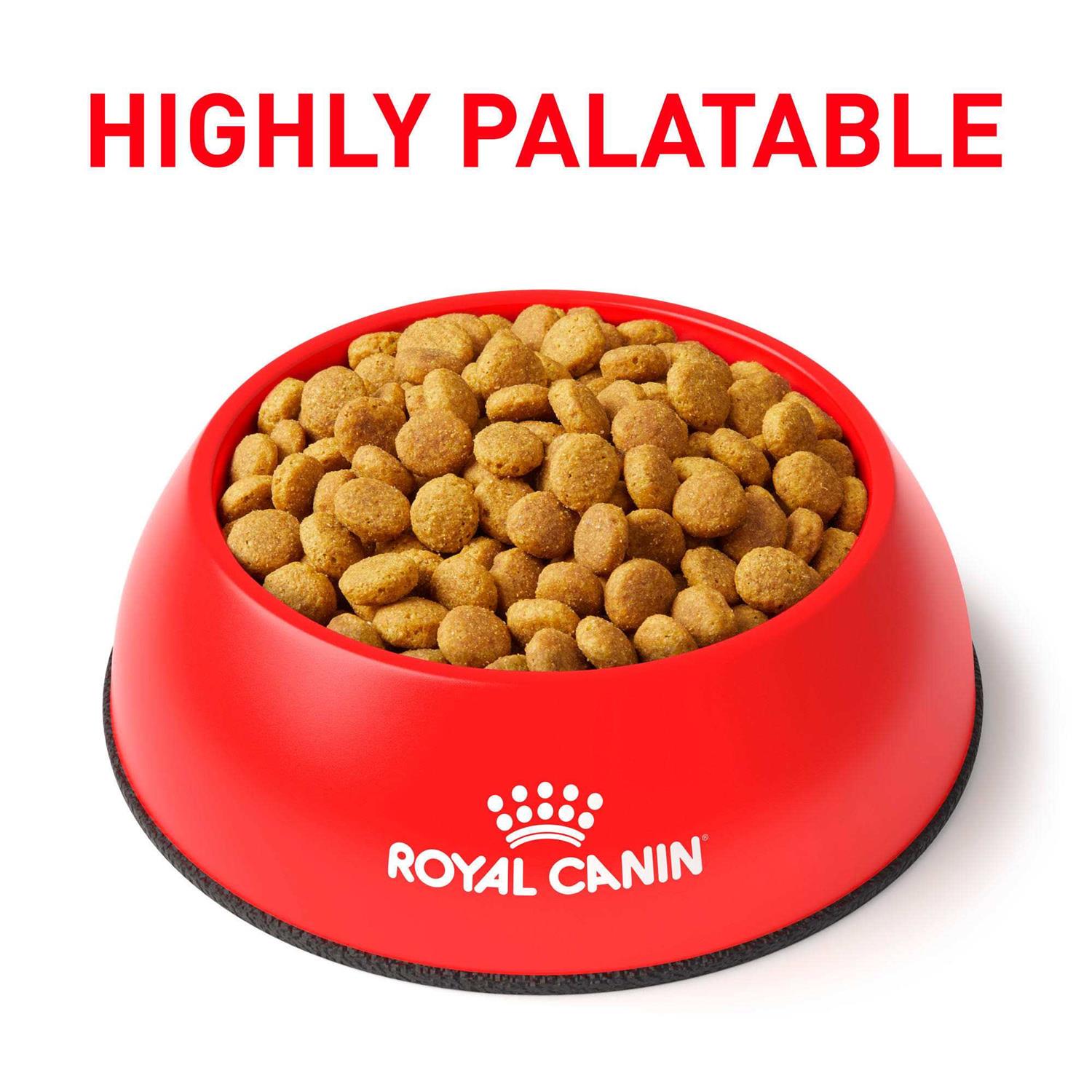 Alternative view of Royal Canin Veterinary Diet Cat Food