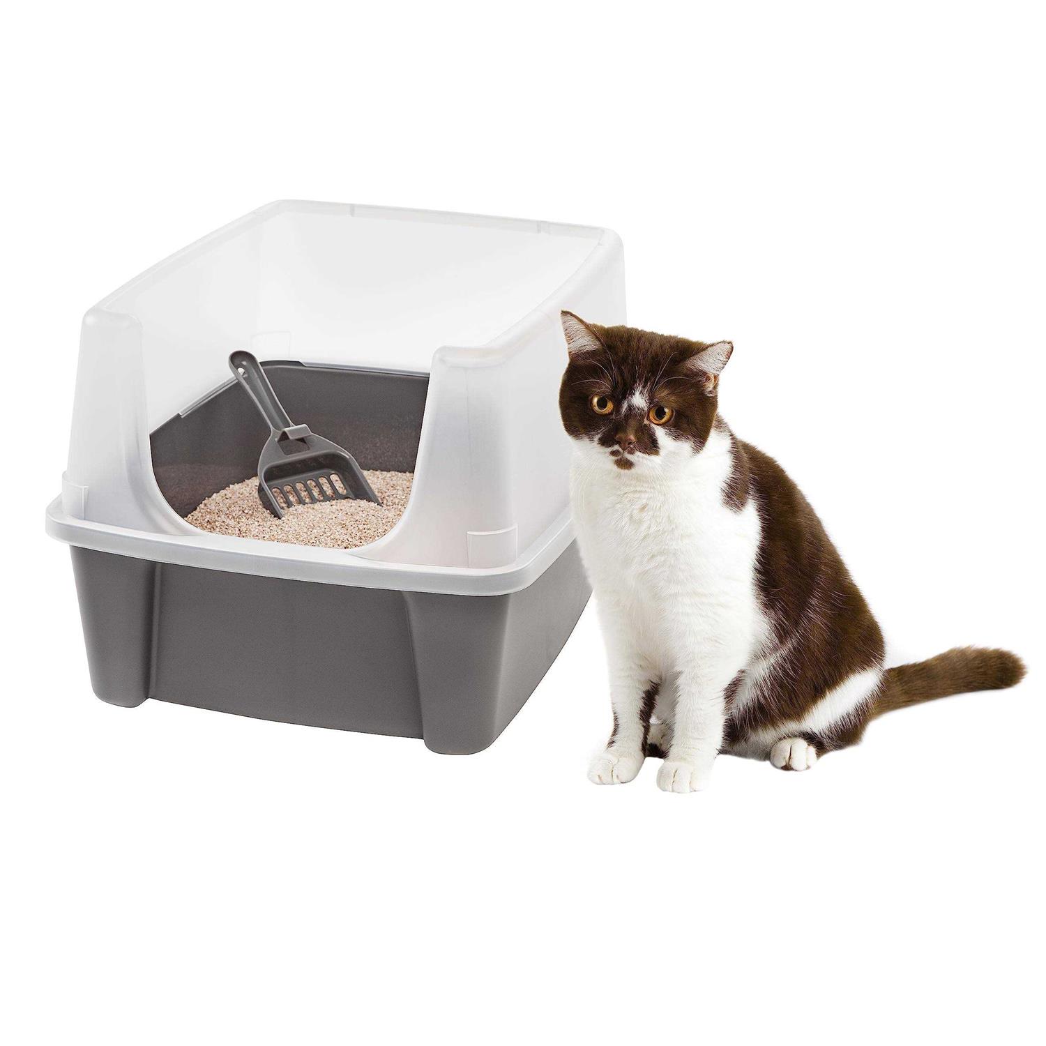 Iris USA Open Top Cat Litter Box with Shield and Scoop