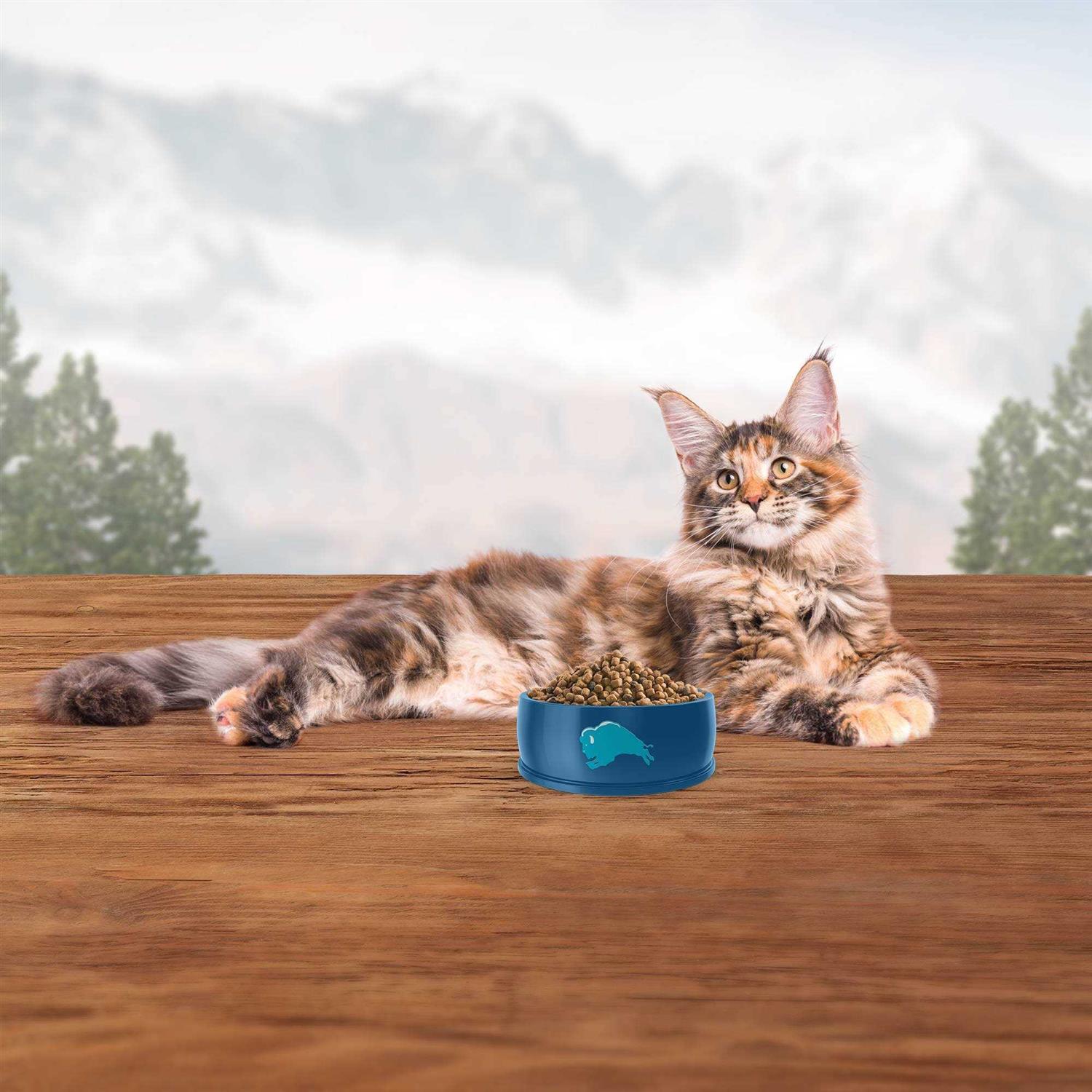Alternative view of BLUE Wilderness Adult Dry Cat Food