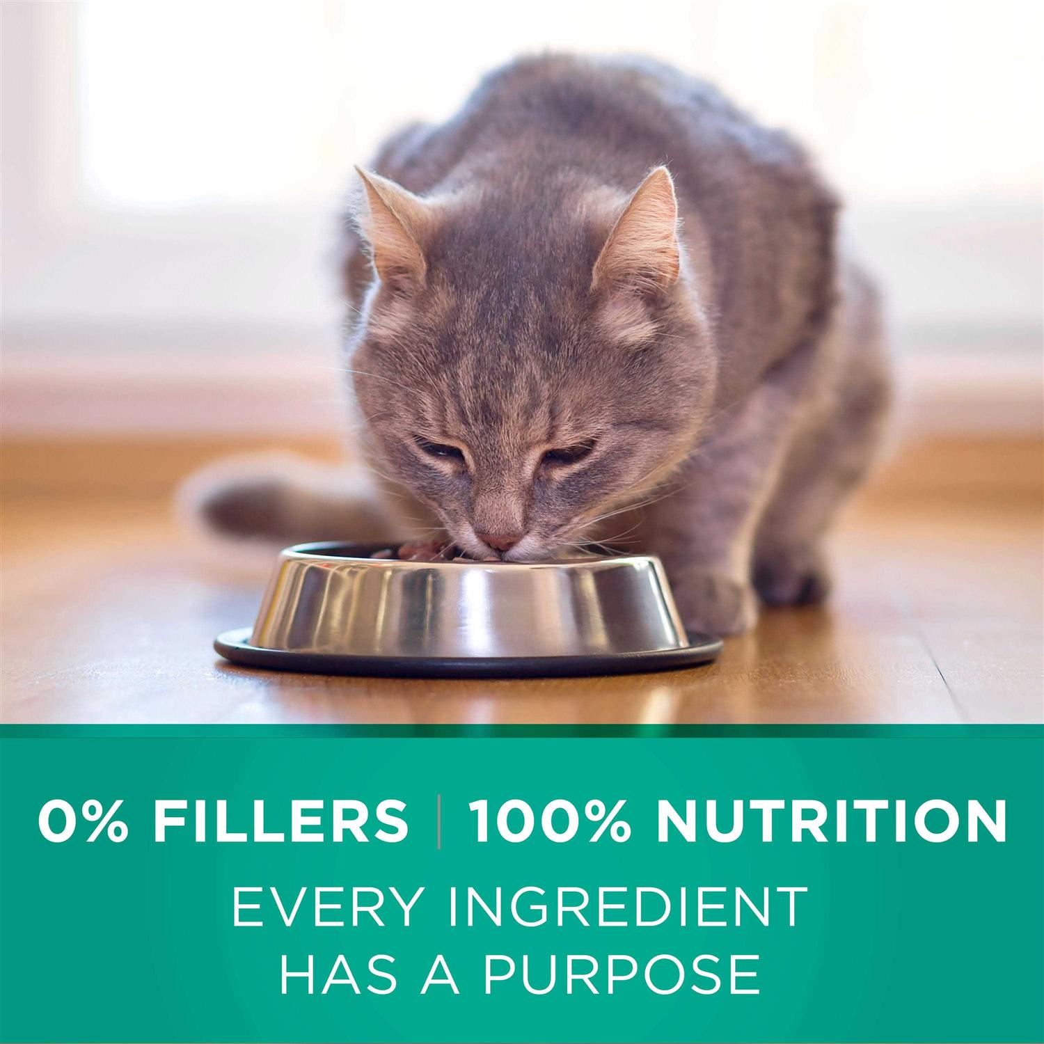 Alternative view of Purina ONE Sensitive Systems Dry Cat Food