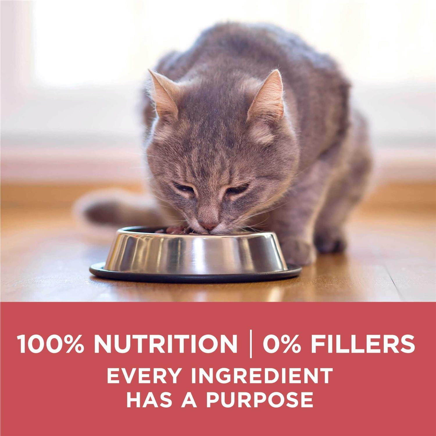 Alternative view of Purina ONE Indoor Advantage Dry Cat Food