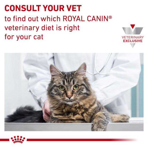 Alternative view of Royal Canin Veterinary Diet Hydrolyzed Protein Feline Treats