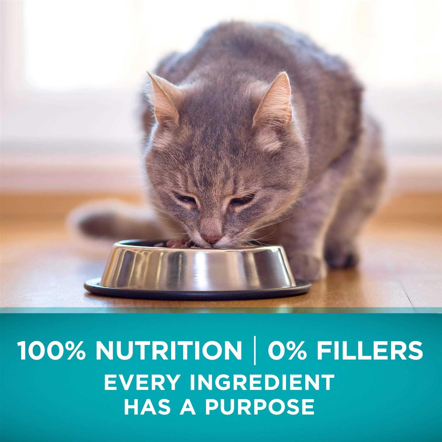Alternative view of Purina ONE Natural High Protein Grain Free Dry Cat Food