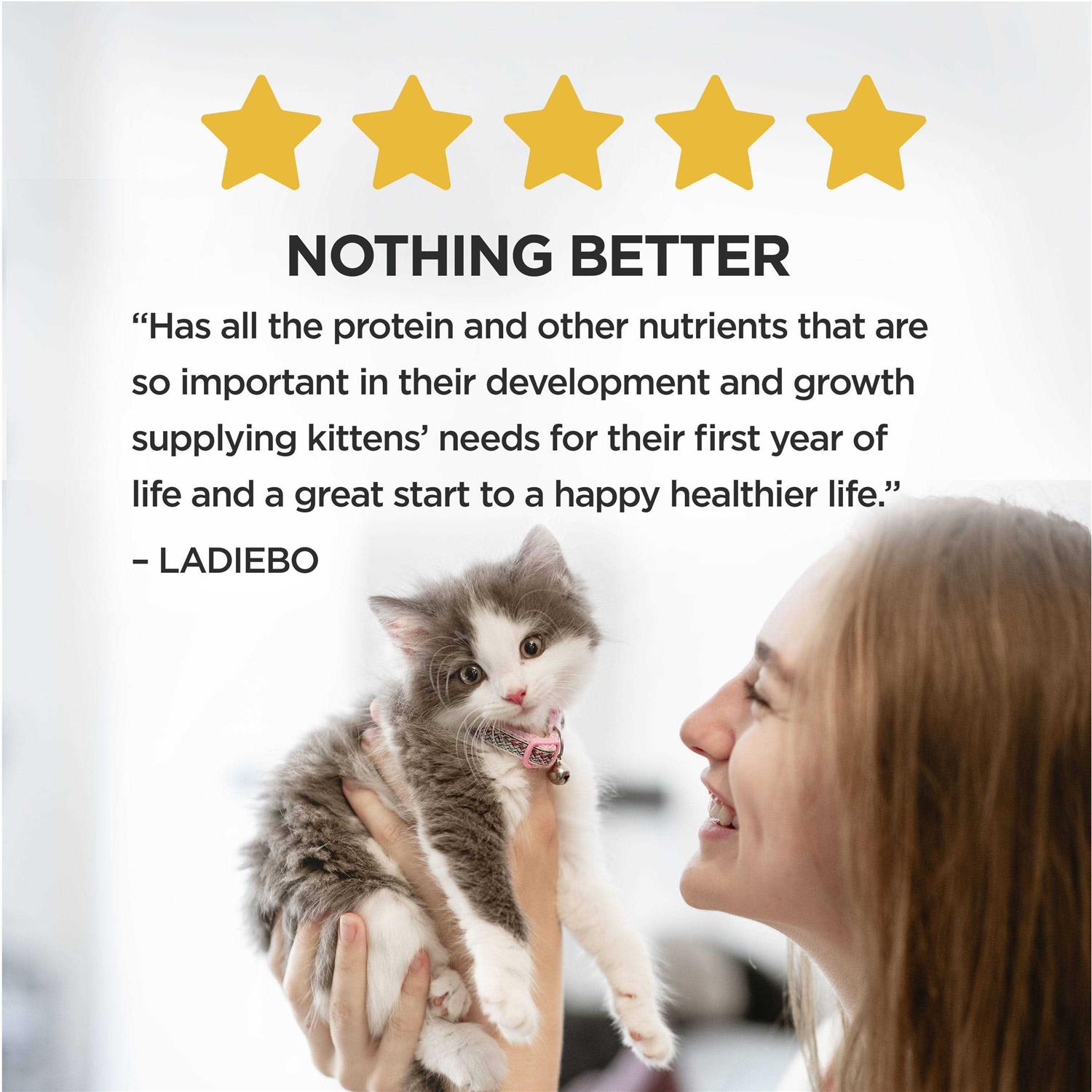 Alternative view of Purina Kitten Chow Nurture Dry Cat Food