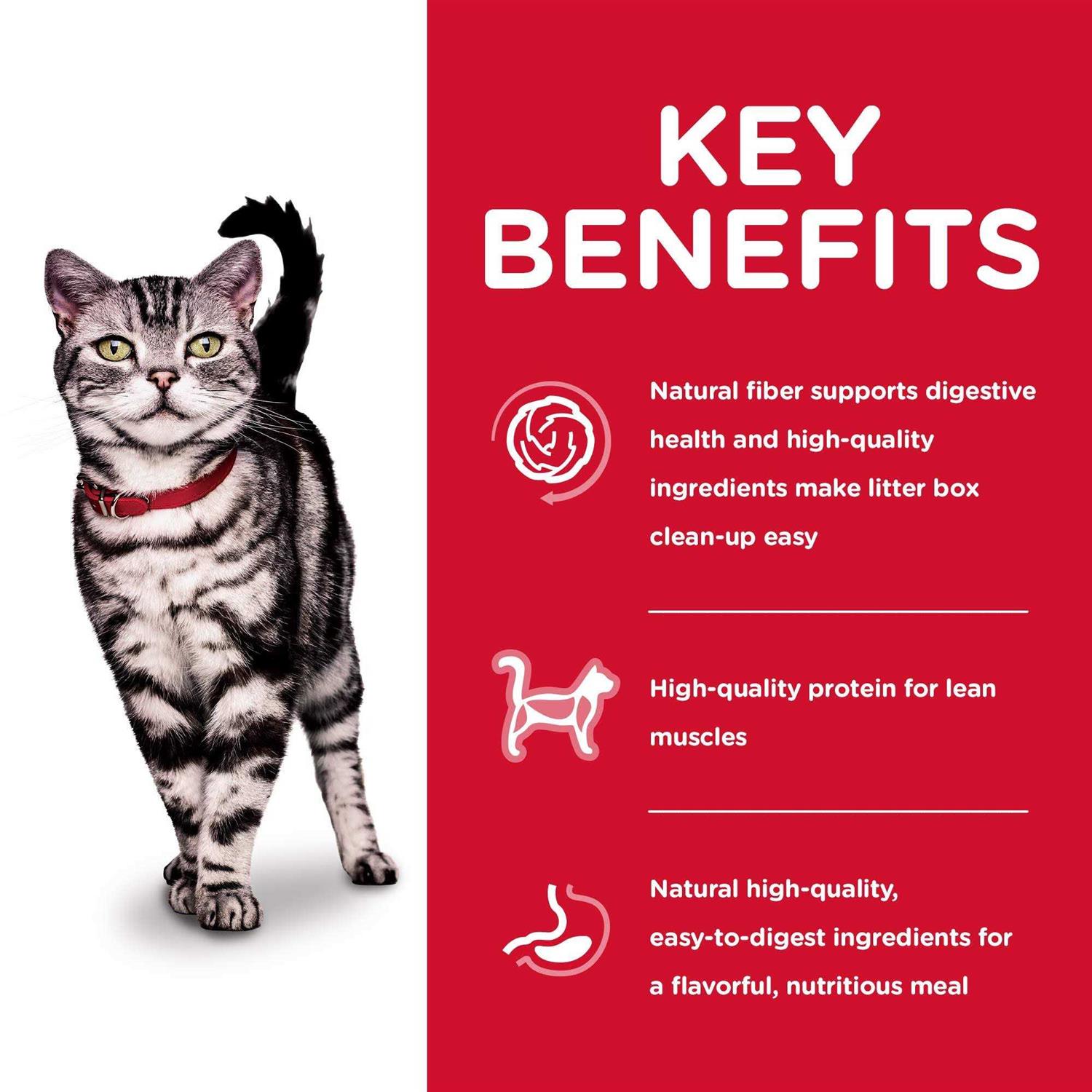 Alternative view of Science Diet Adult Indoor Cat Dry Food