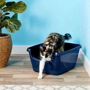 Alternative view of Frisco High Sided Cat Litter Box