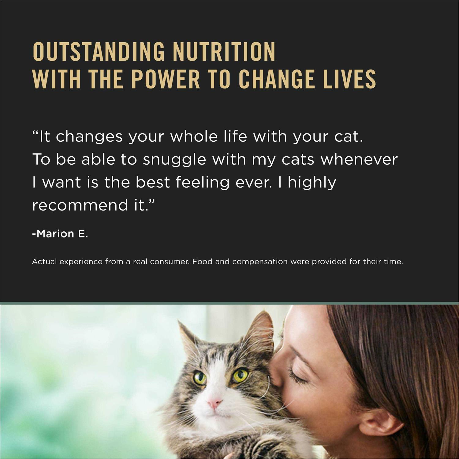 Alternative view of Purina Pro Plan LiveClear Dry Cat Food for Kittens Chicken & Rice Formula