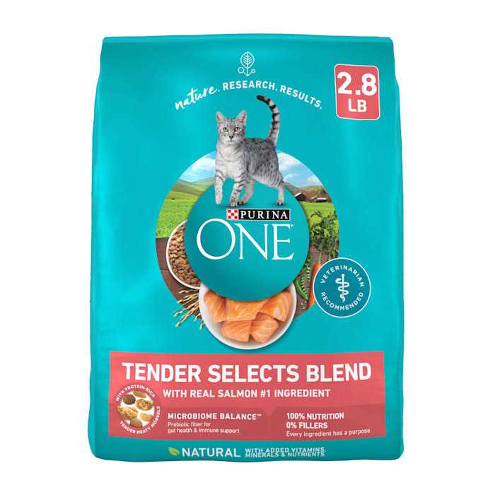 Purina ONE Tender Selects Blend Dry Cat Food With Real Chicken