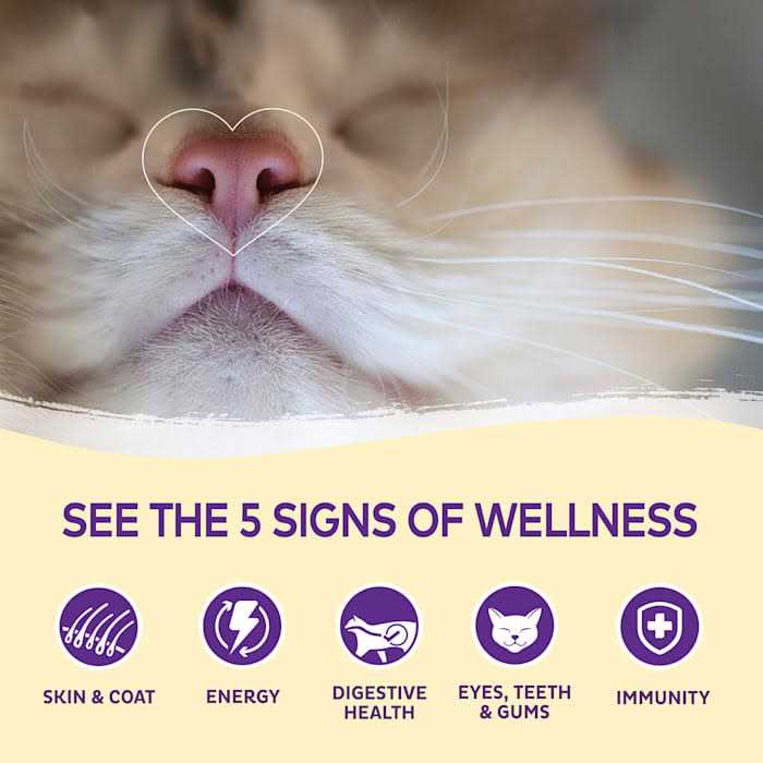 Alternative view of Wellness Kittles Cat Treats